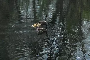 8717 Demontreville Trail N, Lake Elmo, MN 55042 - Photo 69