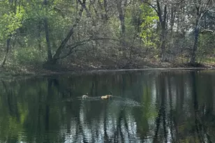 8717 Demontreville Trail N, Lake Elmo, MN 55042 - Photo 71