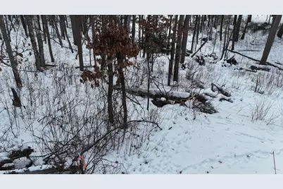 37898 Spruce Drive, Sturgeon Lake, MN 55783 - Photo 11