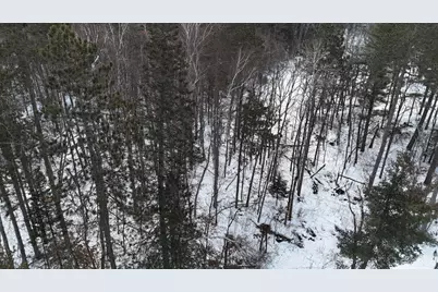 37898 Spruce Drive, Sturgeon Lake, MN 55783 - Photo 5