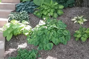 7798 Hwy 218, Owatonna, MN 55060 - Photo 41