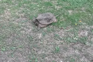 7798 Hwy 218, Owatonna, MN 55060 - Photo 43