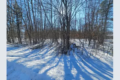 Tbd Lot 6 Irene Avenue, Ironton, MN 56455 - Photo 5