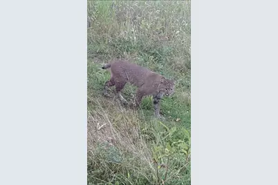 W10415 521st Avenue, Prescott, WI 54021 - Photo 81