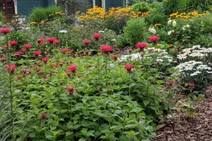 1337 Cleveland Ave S, Saint Paul, MN 55116 - Photo 39