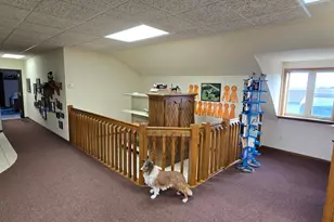 157 70 St N, Glyndon, MN 56547 - Photo 83