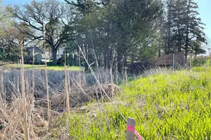 6332 Brookview Ave, Edina, MN 55424 - Photo 5