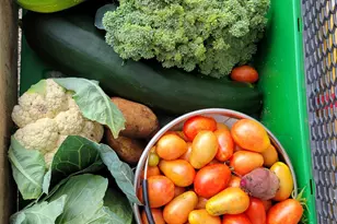 17012 170th St SE, Big Lake, MN 55309 - Photo 65