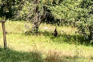 17012 170th St SE, Big Lake, MN 55309 - Photo 67