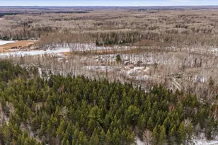 59404 Herron Rd, Bigfork, MN 56628 - Photo 35