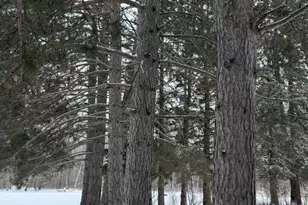 11285 Arkola Rd, Meadowlands, MN 55765 - Photo 37