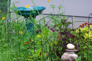 311 Monroe Ave S, Edina, MN 55343 - Photo 53