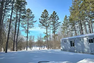 3193 Town Rd 397, International Falls, MN 56649 - Photo 23