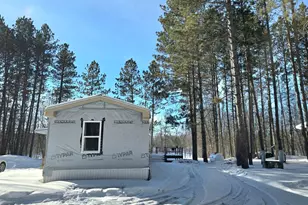 3193 Town Rd 397, International Falls, MN 56649 - Photo 25