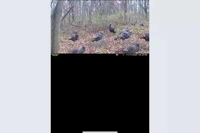 Xxx Hwy. 52, Fountain, MN 55935 - Photo 7