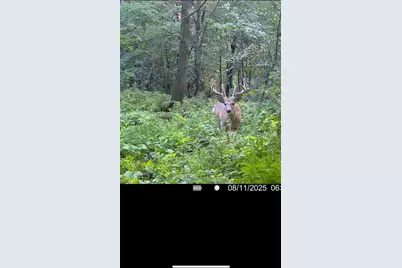 Xxx Hwy. 52, Fountain, MN 55935 - Photo 3