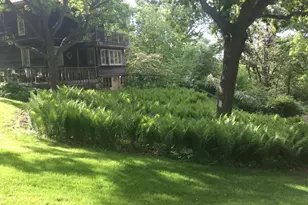 5338 Highland Rd, Minnetonka, MN 55345 - Photo 13