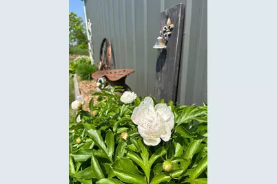 29533 505th Avenue, Henning, MN 56551 - Photo 41