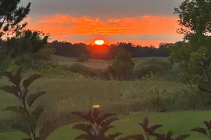 29533 505th Ave, Henning, MN 56551 - Photo 31