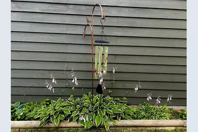 29533 505th Avenue, Henning, MN 56551 - Photo 39