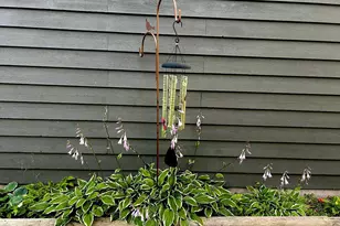 29533 505th Ave, Henning, MN 56551 - Photo 39