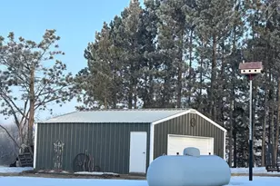29533 505th Ave, Henning, MN 56551 - Photo 21