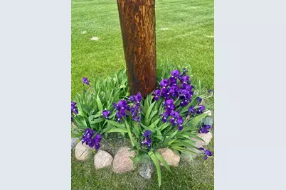 29533 505th Avenue, Henning, MN 56551 - Photo 41