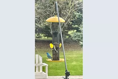 29533 505th Avenue, Henning, MN 56551 - Photo 37