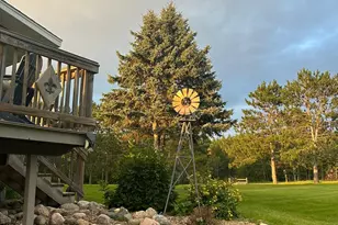 29533 505th Ave, Henning, MN 56551 - Photo 29