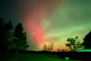 29533 505th Ave, Henning, MN 56551 - Photo 33