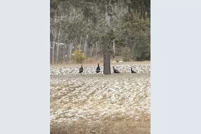 29533 505th Avenue, Henning, MN 56551 - Photo 37