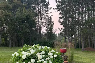 29533 505th Ave, Henning, MN 56551 - Photo 39