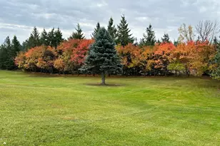 29533 505th Ave, Henning, MN 56551 - Photo 43