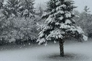 29533 505th Ave, Henning, MN 56551 - Photo 43