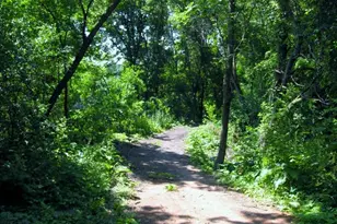 6948 Raven Ct, Eden Prairie, MN 55346 - Photo 37