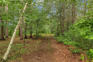 38071 248th St, Hillman, MN 56338 - Photo 87