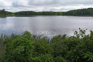 38071 248th St, Hillman, MN 56338 - Photo 123