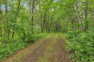 38071 248th St, Hillman, MN 56338 - Photo 117