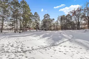 38071 248th St, Hillman, MN 56338 - Photo 7