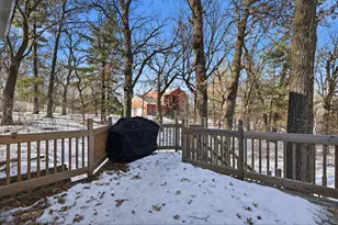 12522 278th Ave NW, Zimmerman, MN 55398 - Photo 41