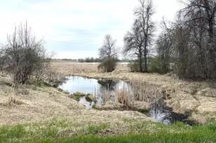 11365 Platt Ave SW, Cokato, MN 55321 - Photo 17