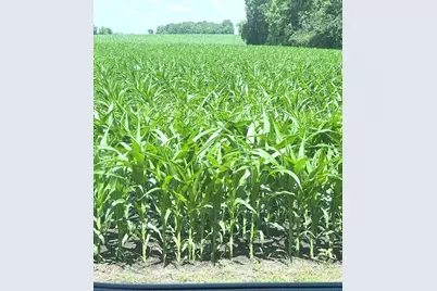 11365 Platt Avenue SW, Cokato, MN 55321 - Photo 27