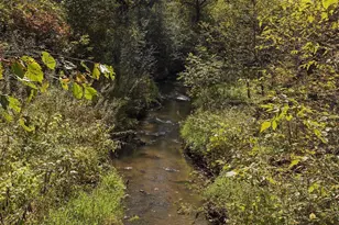 5420 Spring Ln, Minnetonka, MN 55345 - Photo 49