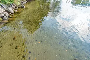 7840 E Lake Carlos Dr NE, Carlos, MN 56319 - Photo 5