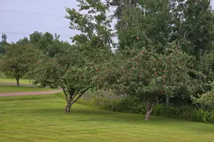 5060 277th Ave NE, Isanti, MN 55040 - Photo 55