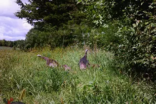 41912 205th Ave, Le Center, MN 56057 - Photo 55