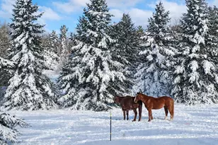 35638 678th St, Hill City, MN 55748 - Photo 9