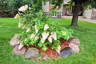 10029 Dogwood St NW, Coon Rapids, MN 55448 - Photo 47