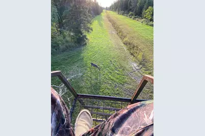 Tbd Saralampi Road, Toivola, MN 55765 - Photo 17