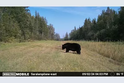 Tbd Saralampi Road, Toivola, MN 55765 - Photo 17
